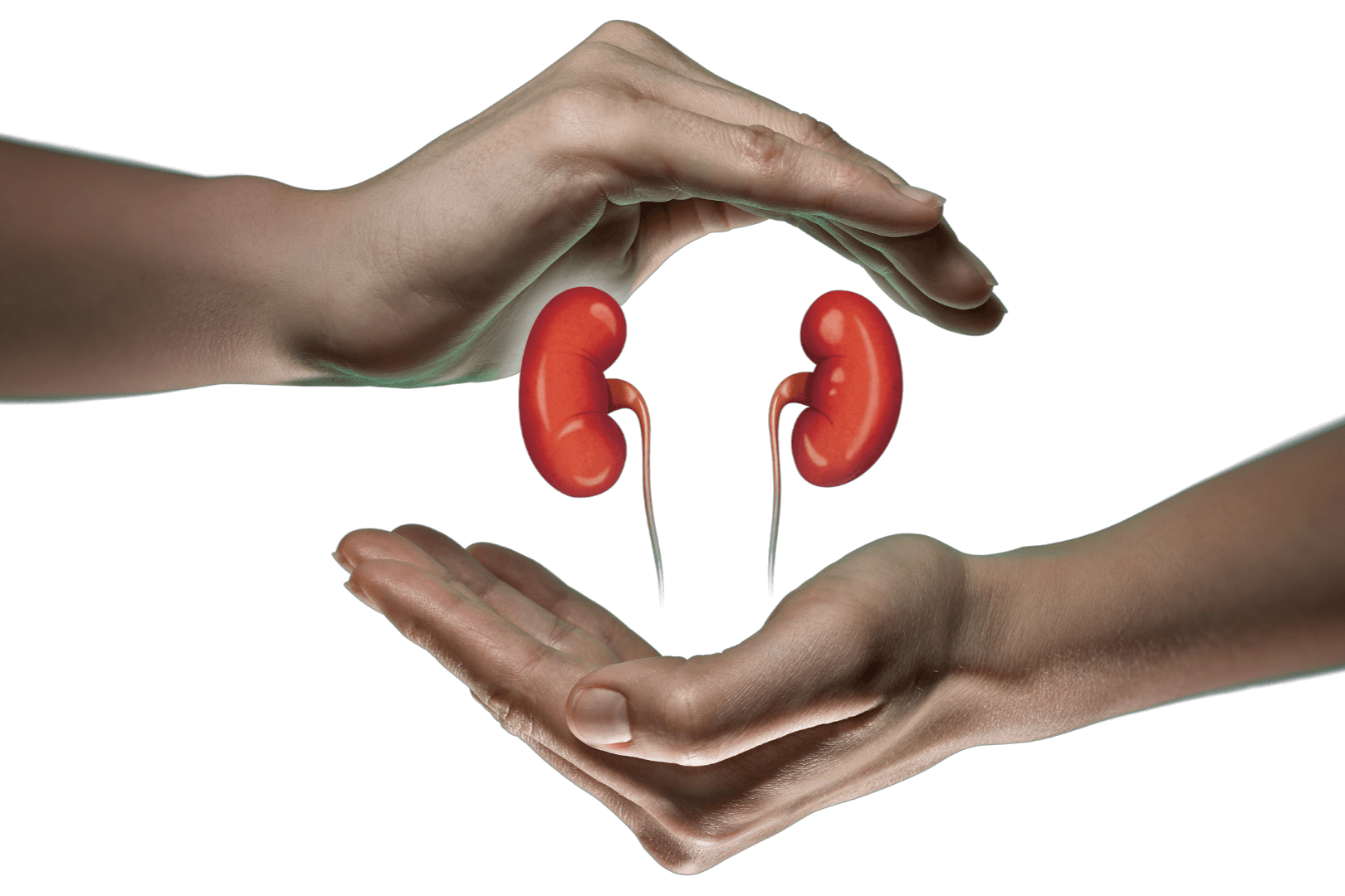 Best Kidney Expert in Bangalore